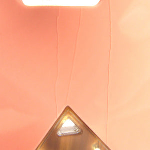 美品 エルメス バッファローホーン Hロゴ ネックレス バッファローホーン コーラルピンク 0209【中古】HERMES