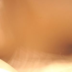 新品同様 デルヴォー プレッセ Presse A5 トリヨンレザー ライムグリーン 黄 クラッチバッグ 2082【中古】DELVAUX