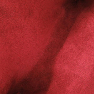 美品 ルイ ヴィトン ポシェットアクセソワ―ル エピ M52947 エピレザー カスティリアンレッド ハンドバッグ 赤 LV 1131【中古】LOUIS VUITTON