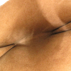 美品 エルメス オメニトゥ エヴァーカーフ ブラウン ショルダーバッグ 1053【中古】HERMES エバーカーフ