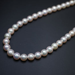 美品 アコヤ真珠 8-8.5ｍｍ ネックレス あこや真珠/シルバー925 パール アクセサリー 0054【中古】