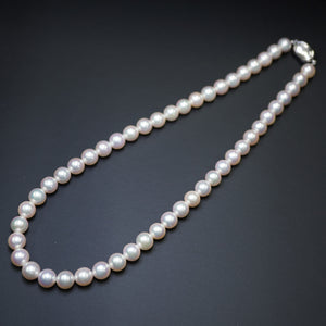 美品 アコヤ真珠 8-8.5ｍｍ ネックレス あこや真珠/シルバー925 パール アクセサリー 0054【中古】