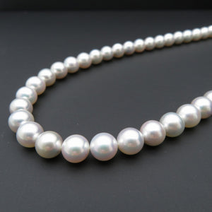 美品 WAKANA アコヤ真珠8.0-8.5ｍｍ ナチュラルブルー ネックレス アコヤパール シルバー ジュエリー 0038【中古】ワカナ