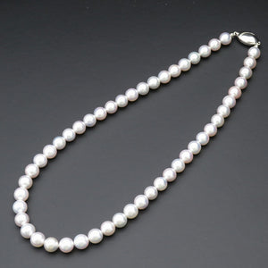 美品 WAKANA アコヤ真珠8.0-8.5ｍｍ ナチュラルブルー ネックレス アコヤパール シルバー ジュエリー 0038【中古】ワカナ