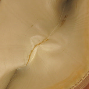 セリーヌ マカダム PVC/レザー ベージュ ショルダーバッグ 0023【中古】CELINE