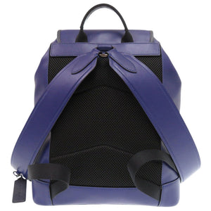 美品 コーチ M2021-C2902 レザー ブルー リュック デイパック 0442【中古】COACH メンズ