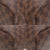 新品同様 ルイ ヴィトン ダミエ ネヴァーフルPM エベヌ Ｎ51109 トートバッグ バッグ LV 0026 【中古】 LOUIS VUITTON