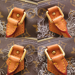 美品 ルイ ヴィトン モノグラム ダンテェル スピーディ30 アルジャン M95398 ハンドバッグ バッグ LV 0124 【中古】 LOUIS VUITTON